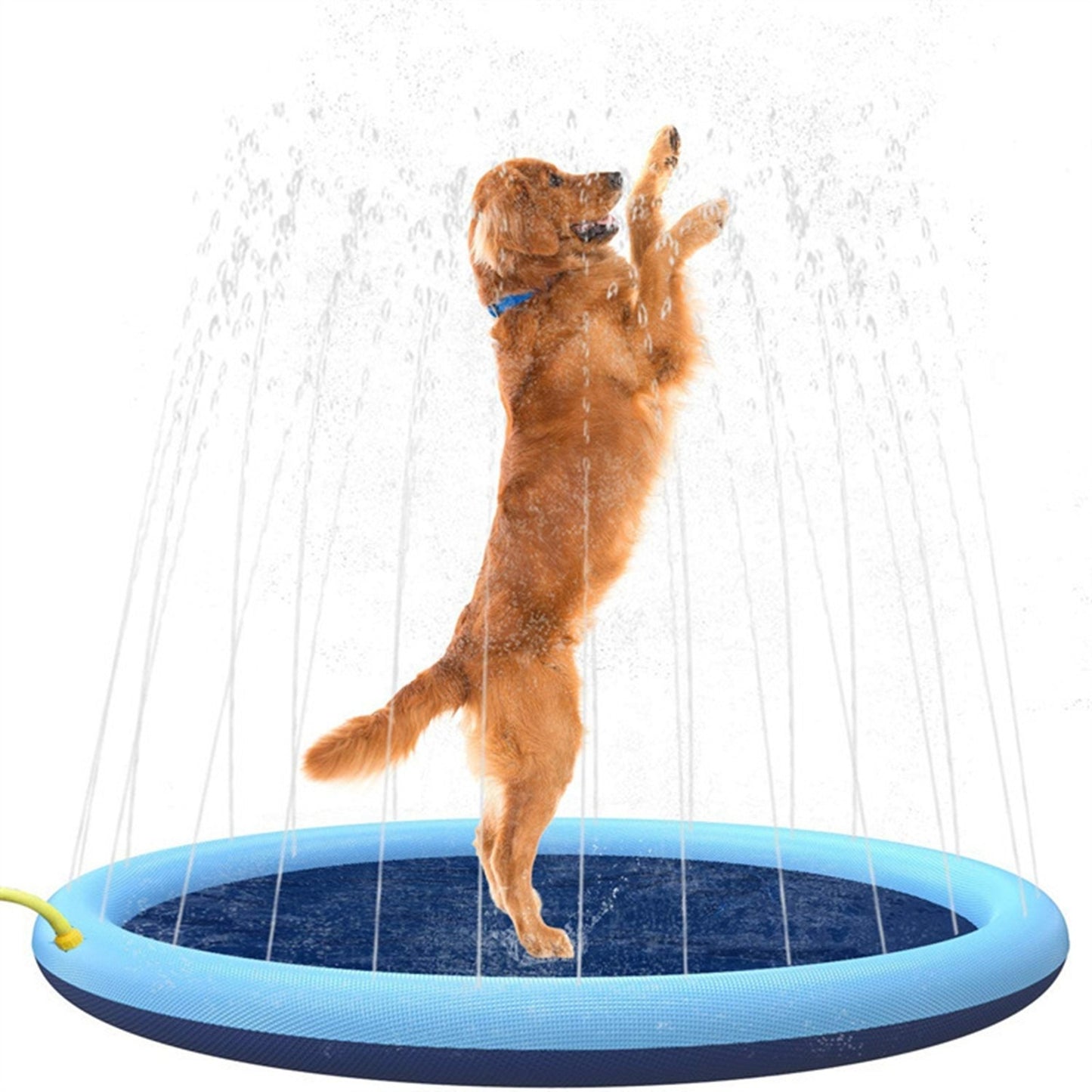 AquaPaws™ Splash Arena